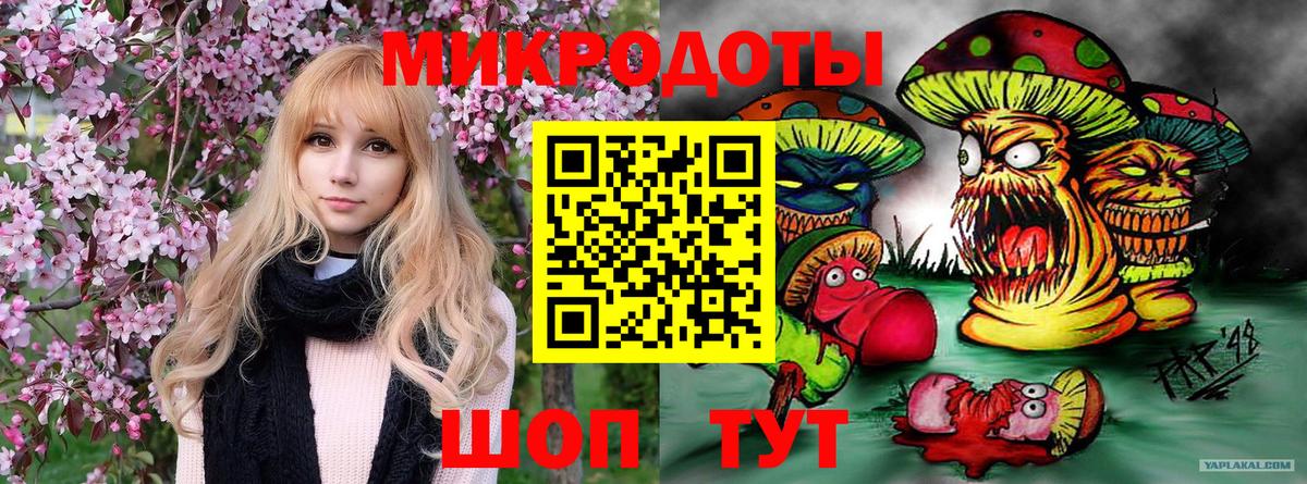 Галлюциногенные грибы Cubensis Тавда