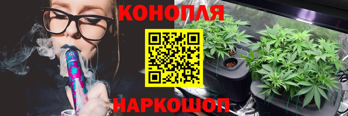 Тавда  Канабис OG Kush  Бошки Шишки планчик  МАРИХУАНА LSD WEED  Вход с VPN 